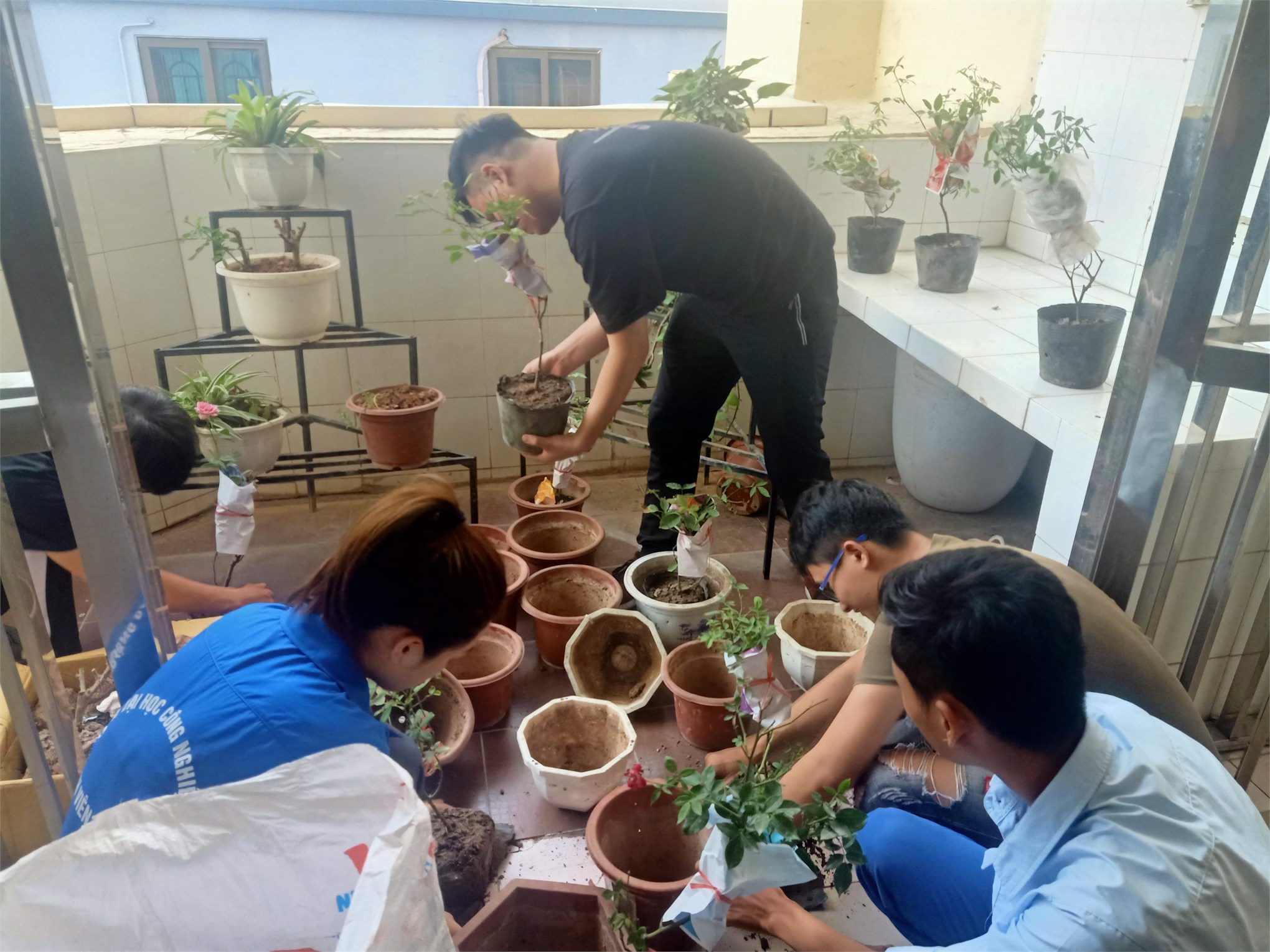 Liên chi đoàn Trung tâm Việt – Nhật ra quân thực hiện 5S tháng 6/2020