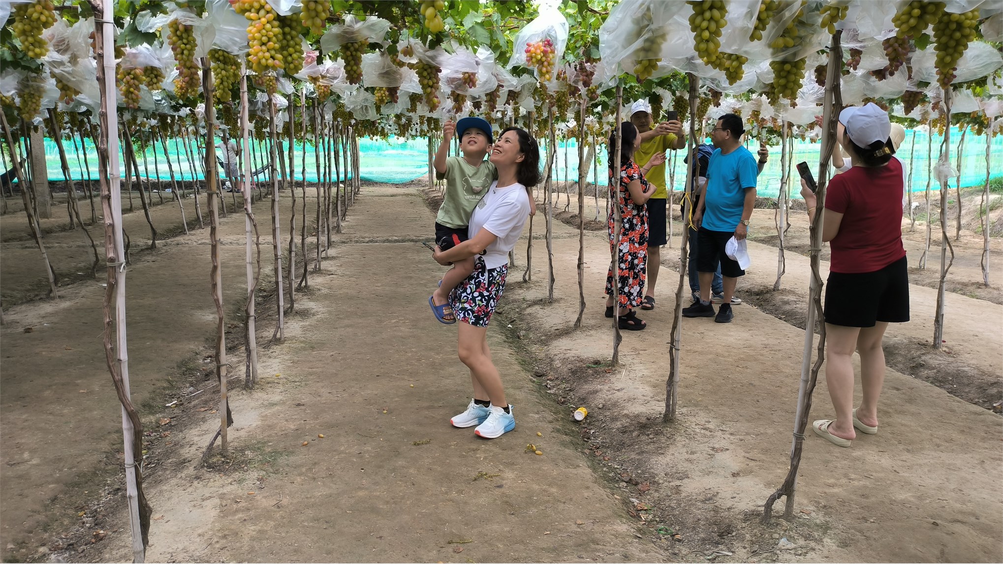 Công đoàn Trung tâm Việt – Nhật tổ chức tham quan học tập hè 2024